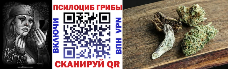 OMG рабочий сайт  хочу наркоту  Сясьстрой  Галлюциногенные грибы Magic Shrooms 
